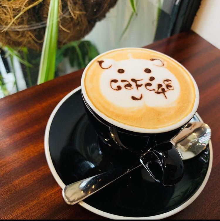 Forty8 Backpackers Hotel Cape Town Ngoại thất bức ảnh